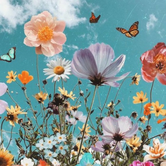 Meet your Posher, Niecy - Picture 1 of 1